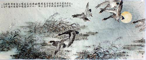 天外来鸿-芦雁系列
