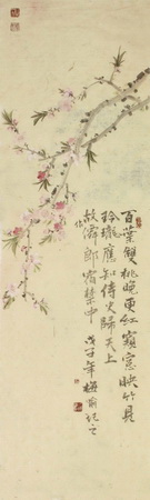 1589426550575653.jpg